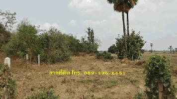 ขายที่ดินถมแล้ว 356 ตร.ว. ต.น้ำตาล อ.อินทร์บุรี จ.สิงห์บุรี ใกล้ถนนสายเอเซีย